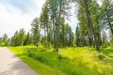 56 Wood Ridge Drive - Photo 9