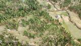 221 Warm Springs Creek Road - Photo 35