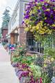 425 Grand Drive - Photo 105