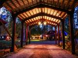 2130 Lion Mountain Road - Photo 10