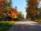 2130 Lion Mountain Road - Photo 6