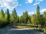 2130 Lion Mountain Road - Photo 72