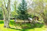 2130 Lion Mountain Road - Photo 76