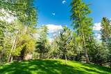 2130 Lion Mountain Road - Photo 82