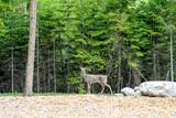 2130 Lion Mountain Road - Photo 91