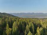 2130 Lion Mountain Road - Photo 92
