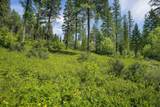 429 Chief Cliff Trail - Photo 5