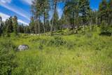 429 Chief Cliff Trail - Photo 6