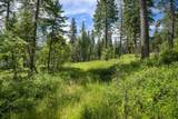 429 Chief Cliff Trail - Photo 9