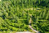 198 Trading Post Trail - Photo 11