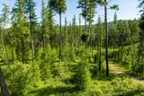 198 Trading Post Trail - Photo 16