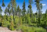 198 Trading Post Trail - Photo 5