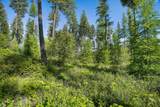 198 Trading Post Trail - Photo 6