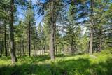 345 Chief Cliff Trail - Photo 2