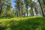 345 Chief Cliff Trail - Photo 3