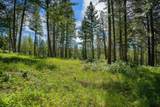345 Chief Cliff Trail - Photo 5