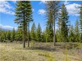 237 Haskill Ranch Road - Photo 5