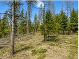 237 Haskill Ranch Road - Photo 6