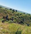 60 Five Mile Creek Road - Photo 14