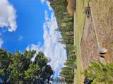 2220 Hogum Creek Road - Photo 10