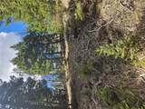 2220 Hogum Creek Road - Photo 14