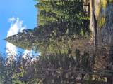 2220 Hogum Creek Road - Photo 47