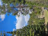 2220 Hogum Creek Road - Photo 48
