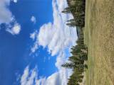 2220 Hogum Creek Road - Photo 49