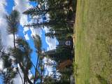 2220 Hogum Creek Road - Photo 53