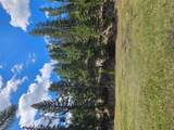 2220 Hogum Creek Road - Photo 54
