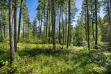 139 Timberjack Trail - Photo 2