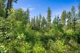 643 Saddlehorn Trail - Photo 4