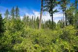 643 Saddlehorn Trail - Photo 5