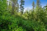 643 Saddlehorn Trail - Photo 6