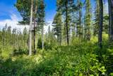 643 Saddlehorn Trail - Photo 7