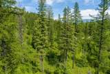 477 Chief Cliff Trail - Photo 10