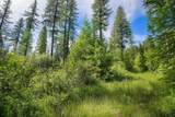 477 Chief Cliff Trail - Photo 2