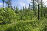 477 Chief Cliff Trail - Photo 5