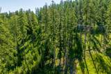 234 Trading Post Trail - Photo 15