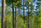 234 Trading Post Trail - Photo 2