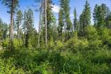 234 Trading Post Trail - Photo 5