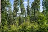 234 Trading Post Trail - Photo 6