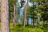 234 Trading Post Trail - Photo 7