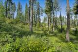 234 Trading Post Trail - Photo 8