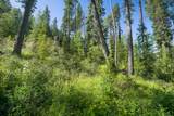 234 Trading Post Trail - Photo 9