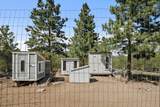 6417 Big Belt Drive - Photo 41