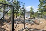6417 Big Belt Drive - Photo 42