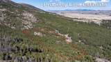 3080 Allen Gulch Road - Photo 2