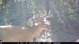 3080 Allen Gulch Road - Photo 26