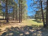 Lot 1 River Road - Photo 12